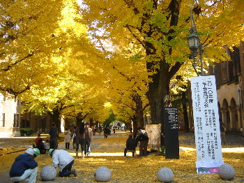 tokyo15"width=""hight="150"