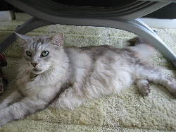 yasu9"width=""hight="150"