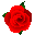 A̎ʐ^