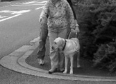 crossing