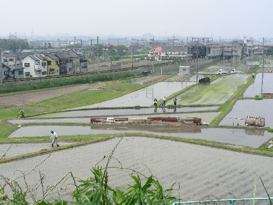 at Kisaichi