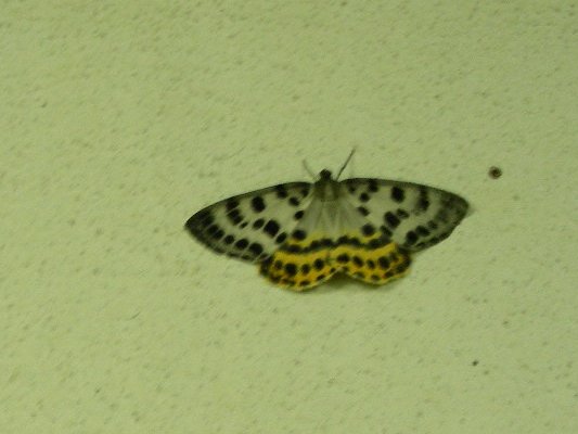 at Kisaichi