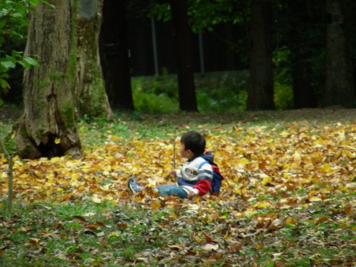 at Kisaichi