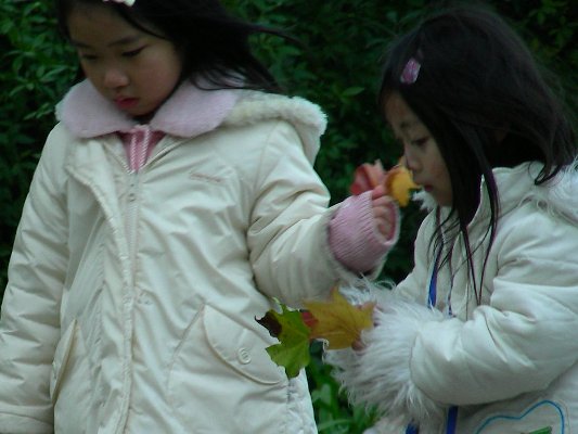 at Hirakata