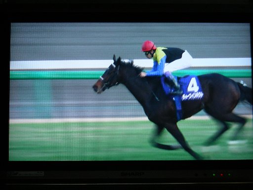 at Nakayama on TV