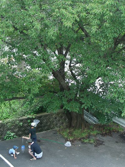 at Kisaichi