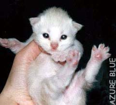 �ڂ����肽�낤