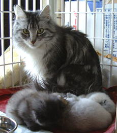 �ނނ��A�܂��������̎q�ɂ���������o���ɂ�����ˁB�����B