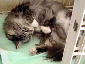 ����u�����΂�v���Ă����́H��������������B�܂����傤�����ˁB