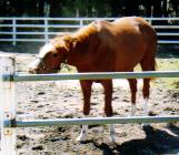 ブルブルっ!イッシー