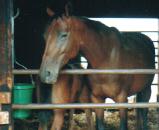 おっぱい飲んで・・・