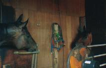 ヤマノロイヤルとマイフェザント