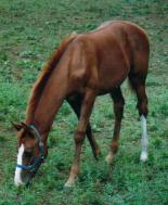 ロールバック2001