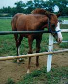 ロールバックの2001