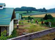 次々と馬が展示会場へ・・・