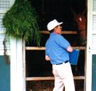 オペレッタの2001