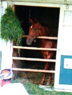 オペレッタの2001