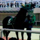 スズカドリーム