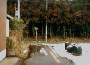 T字路を右へ・・・