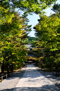 T̎O傩
