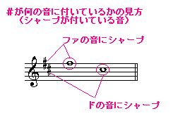 楽譜の読み方