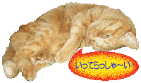 ݂Ⴀ