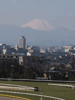 競馬場で見る富士山