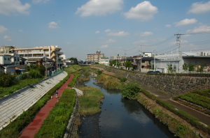 草刈りの終わった芝川沿い