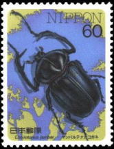 oeiKRKl