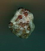 �K�[�l�b�g