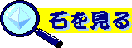 石を見る