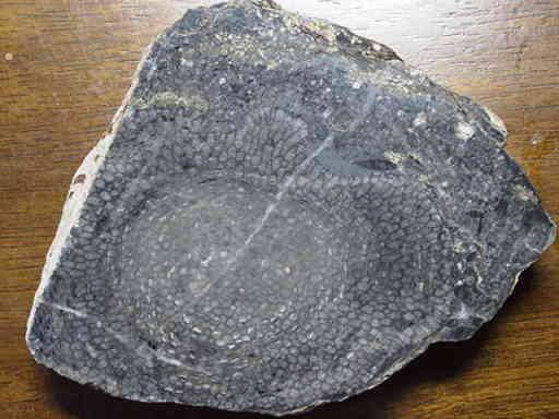 �I�̑��T���S�̉��΂̌�����