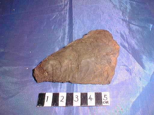 �R�k�����A�̉���