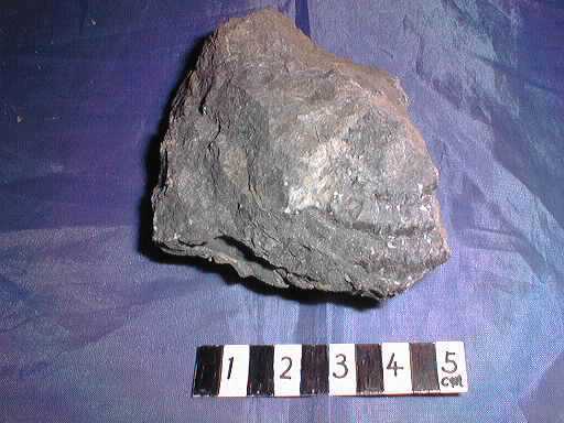 �r���L�̉���