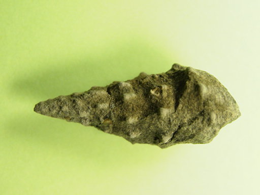 �r�J���G���̉���