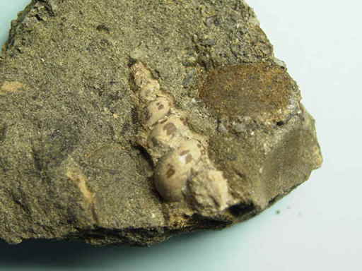 �����L�̉���