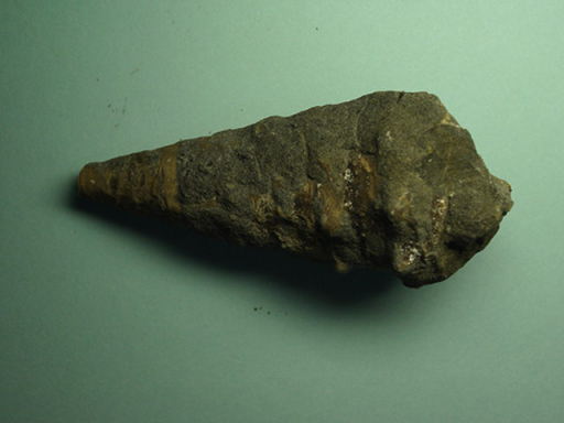 �r�J���A�̉���