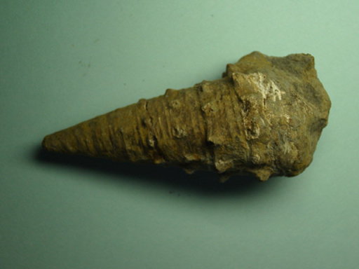 �r�J���A�̉���