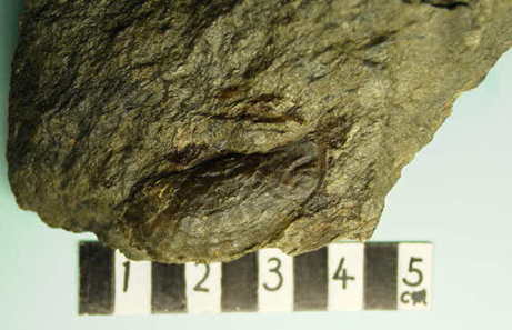 ���O���s���̉���