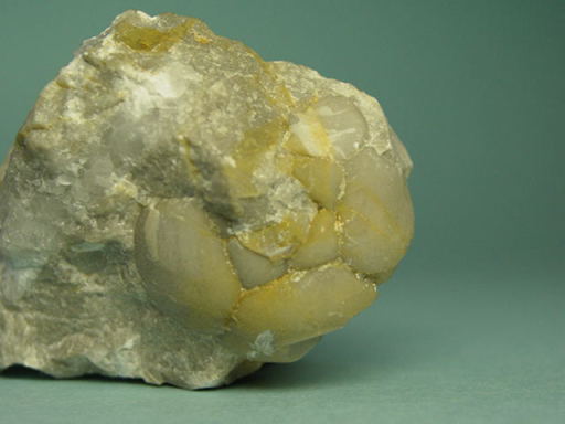 �E�~�������ӂ̉���