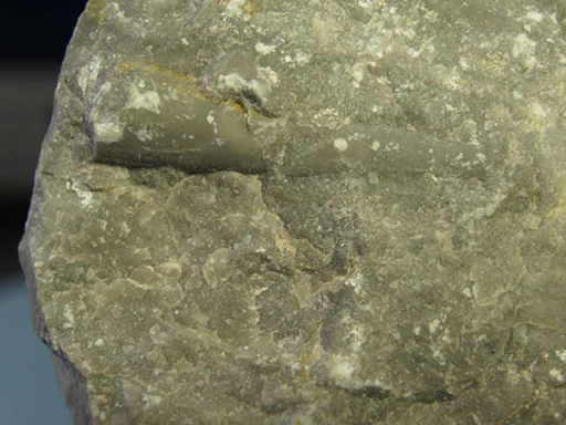 ���p�΂̉���