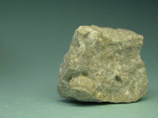 �s�v�c�ȉ���