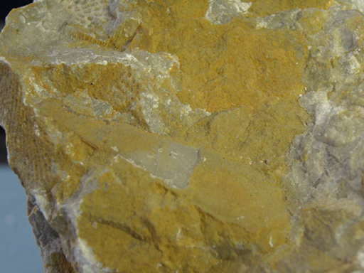 ���p�΂̉���