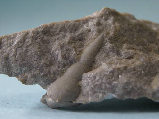 �����L�̉���