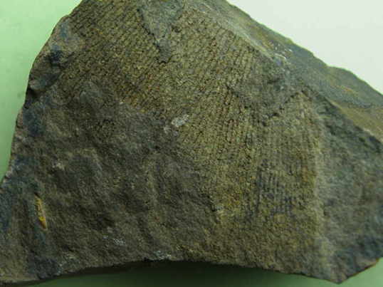 �R�P������