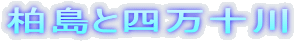 �����Ǝl���\��