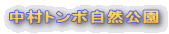 �����g���{���R����