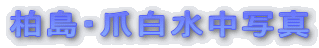 �����E�ܔ������ʐ^
