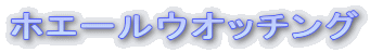 �z�G�[���E�I�b�`���O
