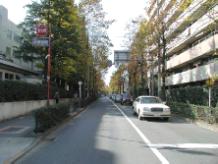石神井中学校前交差点以西の富士街道